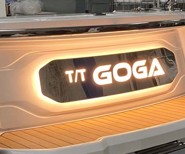 TT GOGA 3.jpg